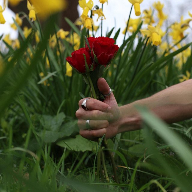 C'est La Vie cover art: a hand wearing a silver ring holding a red carnation among yellow daffodils and green grass